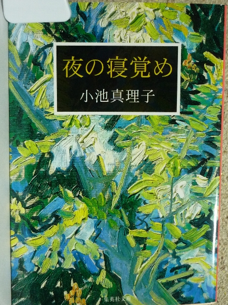 夜の寝覚め　小池真理子(著)